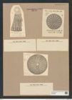 Arachnodiscus ornatus Ehr. (de-Toni-Nr.: Genus 204, Species 5209) Zeichnungen Sammlung Grunow Nr. 8989 (NHMW-BOT-W0378689)